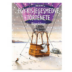 Mesekönyv, Egy kis jegesmedve története