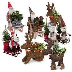 Bepflanztes Rentier/Weihnachtsschlitten