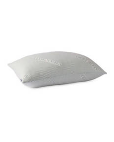 Aloe Vera Pillow