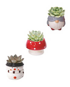 Winter Woodland Collection