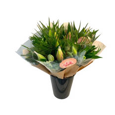 MaX-ima´s Royal Lilien