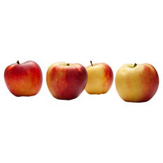 Äpfel fein säuerlich 1 kg