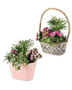 Mothers Day Gift Basket