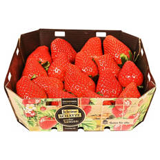 Erdbeeren 400 g