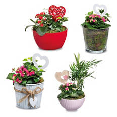 Aranžma za materinski dan