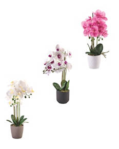 Artificial Orchid