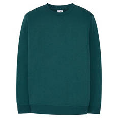 Herren-Sweatshirt , Grün, L