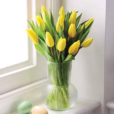 Easter Tulips