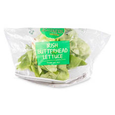 Irish Butterhead Lettuce