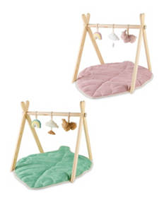 Play Gym & Mat