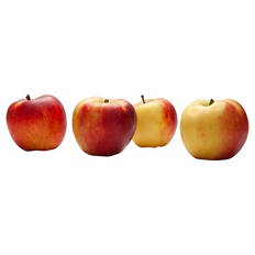 Äpfel Elstar 1,1 kg