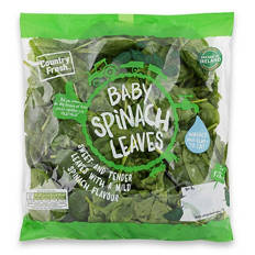 Baby Spinach Leaves