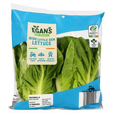 Little Gem Lettuce 2 Pack