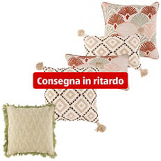Assortimento di cuscini decorativi