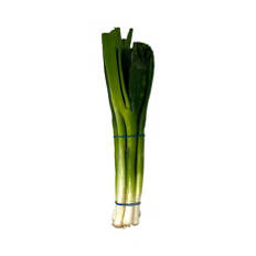 Scallion