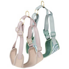 Accessori per cani, Pettorina