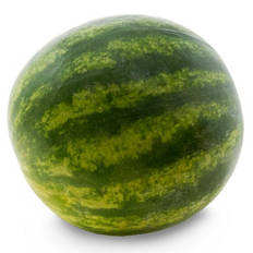 Mini Watermelon