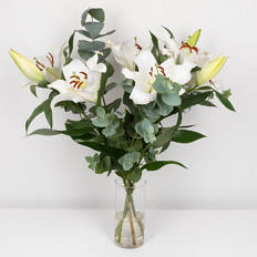 Premium Lilies