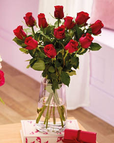 Valentines Dozen Red Roses