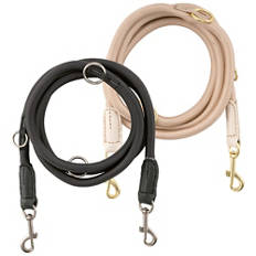 Collier ou laisse pour chiens