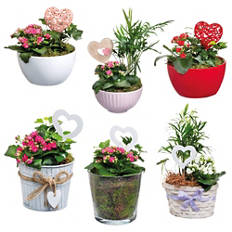 Aranžma za materinski dan