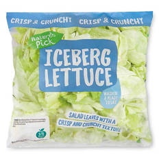 Iceberg Lettuce