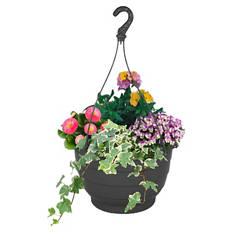 Kälteschätze Gattungsmix Ampeln