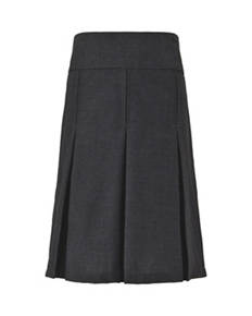 Pleated Skirt