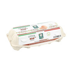 Uova medie da galline allevate a terra