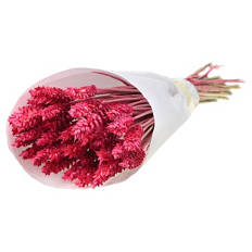 Trockenblumen Mono Bunches Buttercup