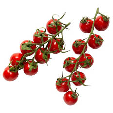 Mini Romarispentomaten 300 g