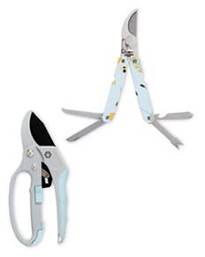 Shears Assortment