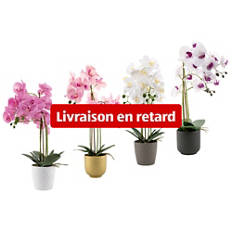 Orchidée réaliste