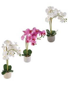 Artificial Orchid
