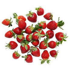 Erdbeeren 500 g