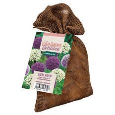Blumenzwiebeln XXL im Jutebag, Allium Mischung