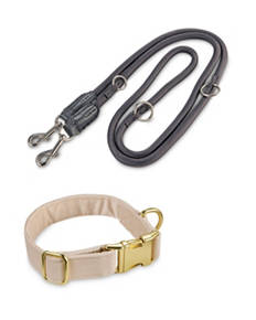 Dog Collar/Lead