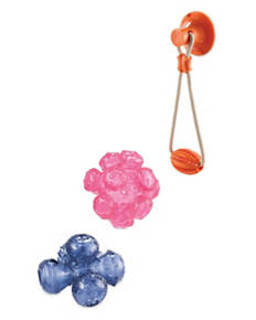 Dog Toy