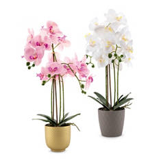 Élethű orchidea művirág