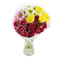 Chrysanthemums Bouquet