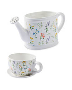 Teacup/Watering Can Planter