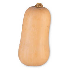 Butternut Squash Each