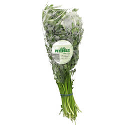 Petersilie glatt, Bund