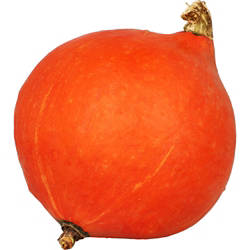 Bio Hokkaido ca. 1,4 kg