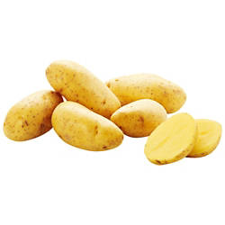 GUT BIO Speisefrühkartoffeln 1.5kg