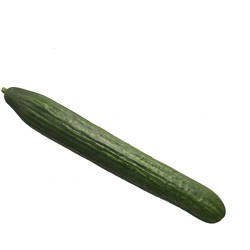 Gurke Stück
