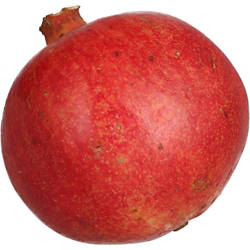 Granatapfel Stück