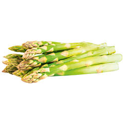 Spargel Grün 450g