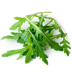 Rucola 125g