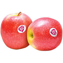 Äpfel Pink Lady 1kg